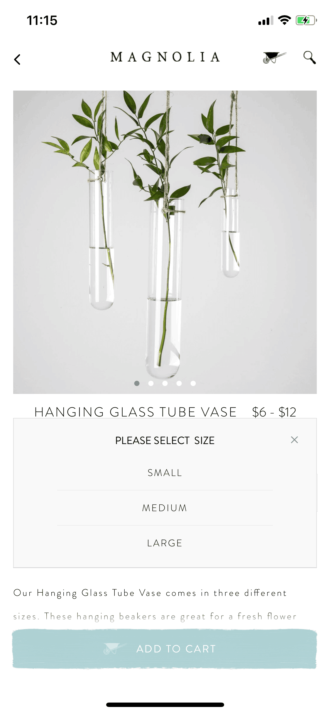 Magnolia Market iOS Shopping interface screenshot 9