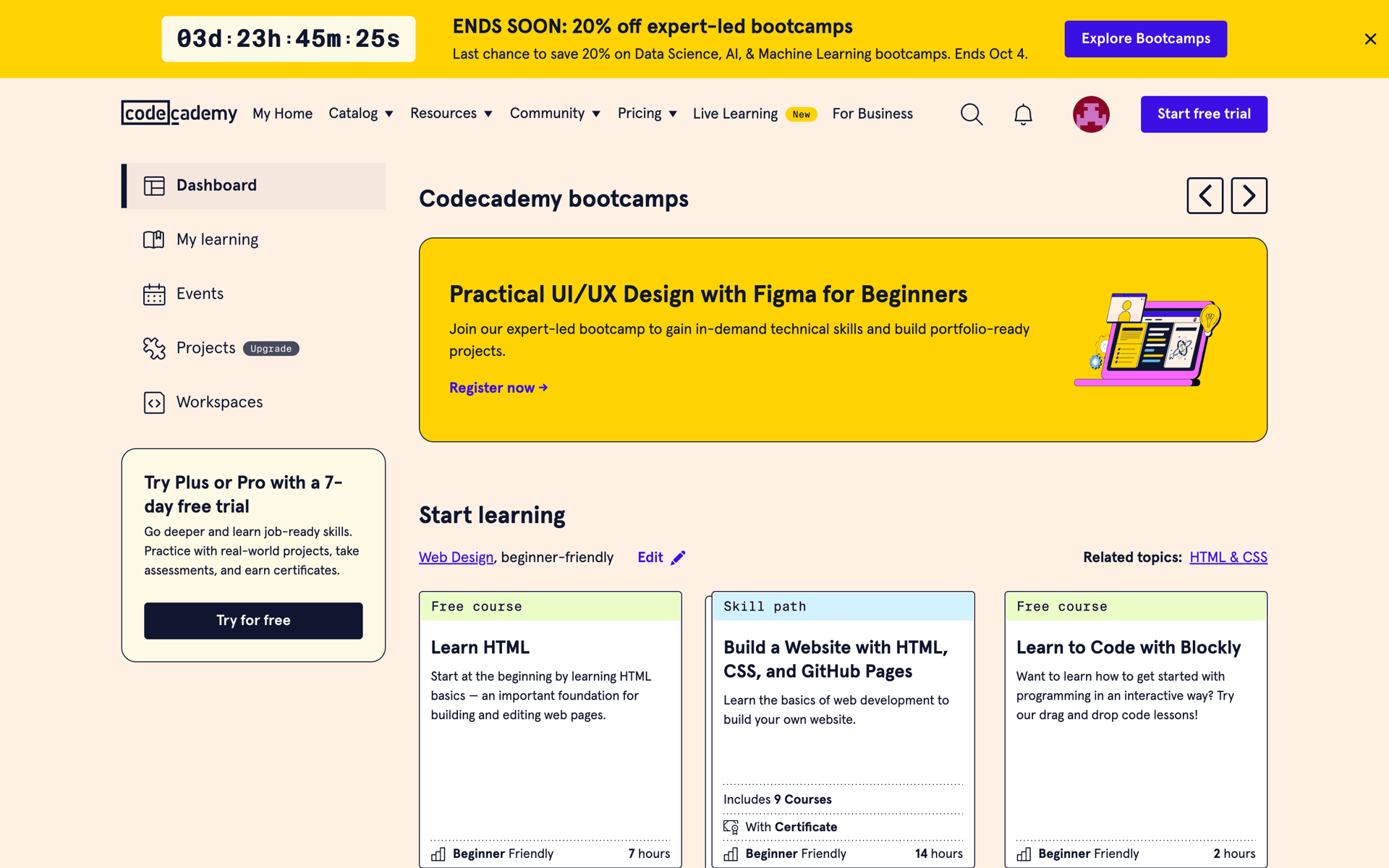 Codecademy Web AI interface screenshot 2