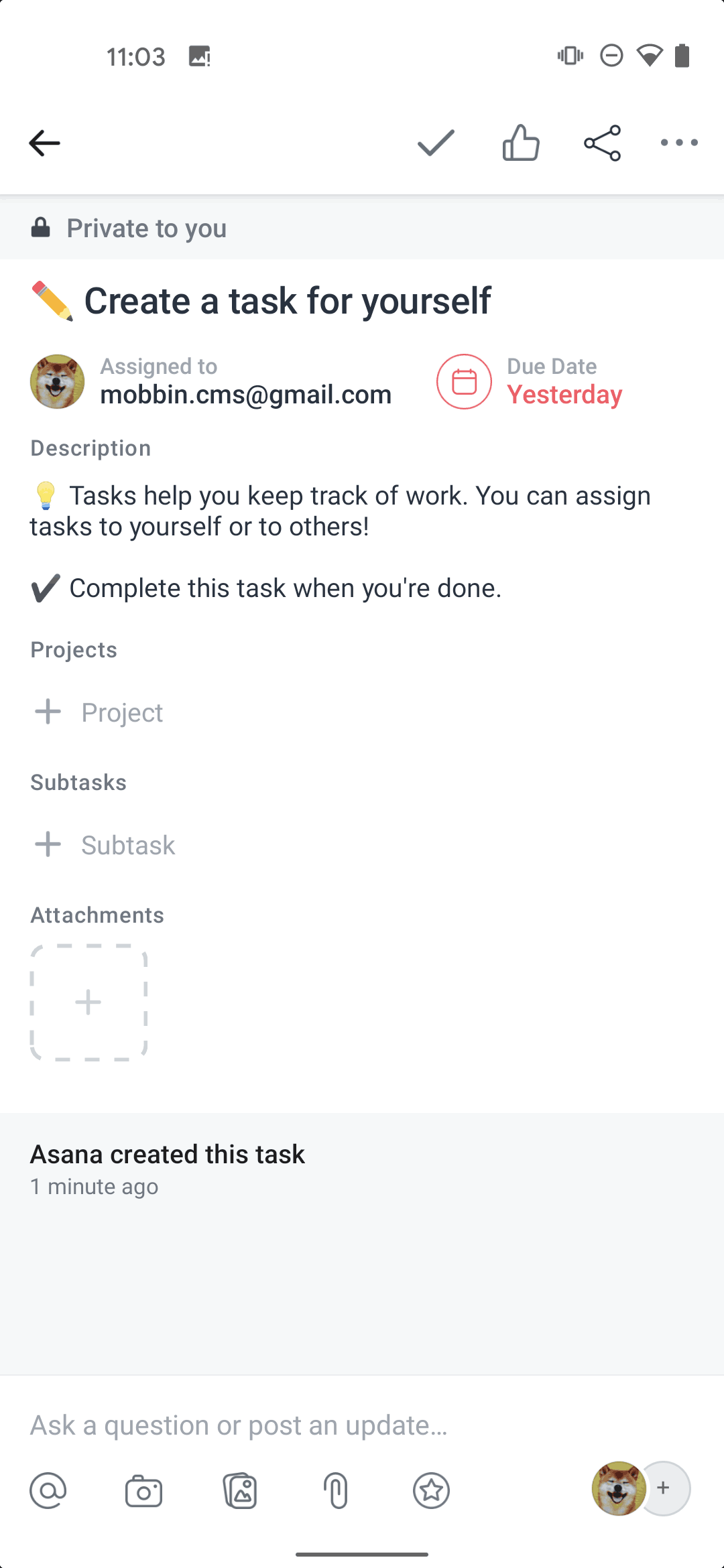 Asana Android Business interface screenshot 22