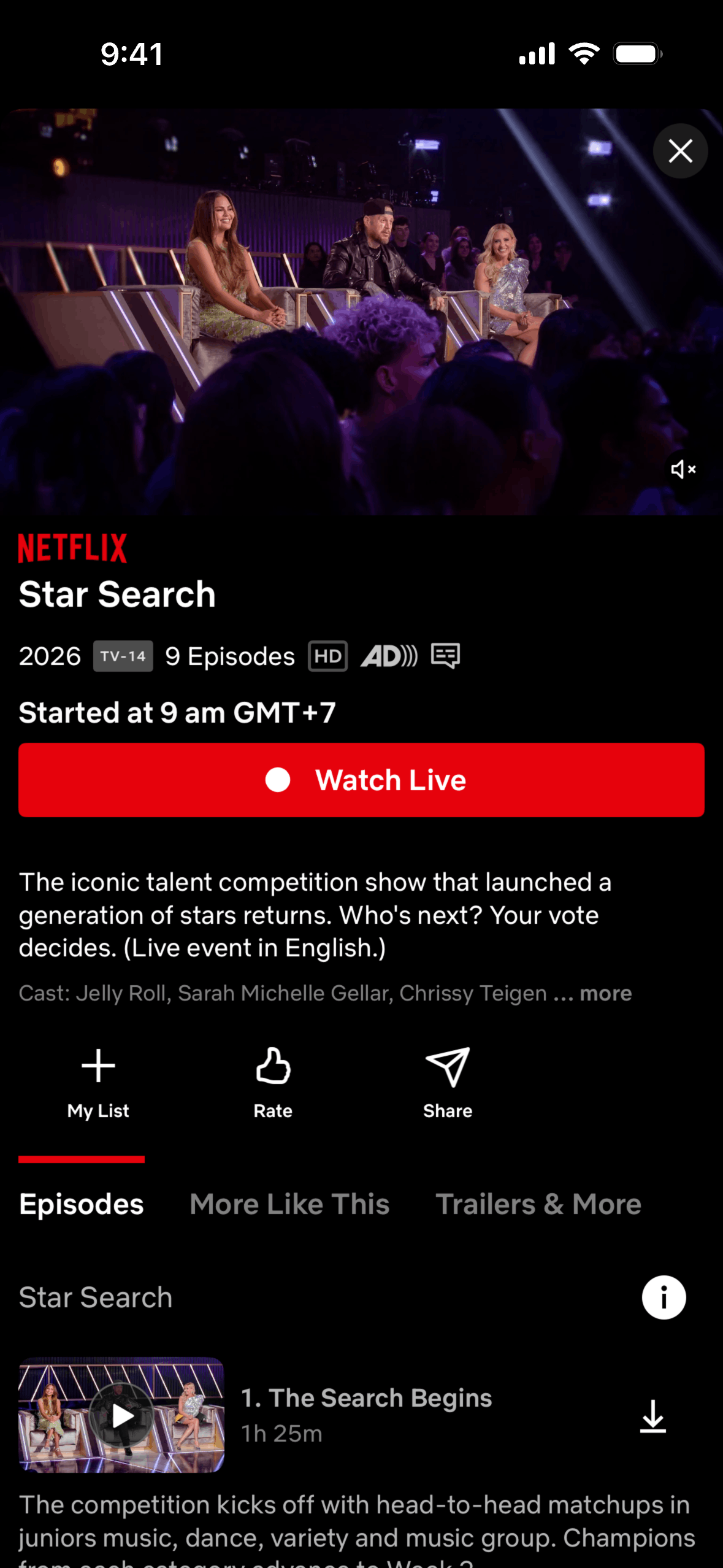 Netflix iOS Entertainment interface screenshot 3
