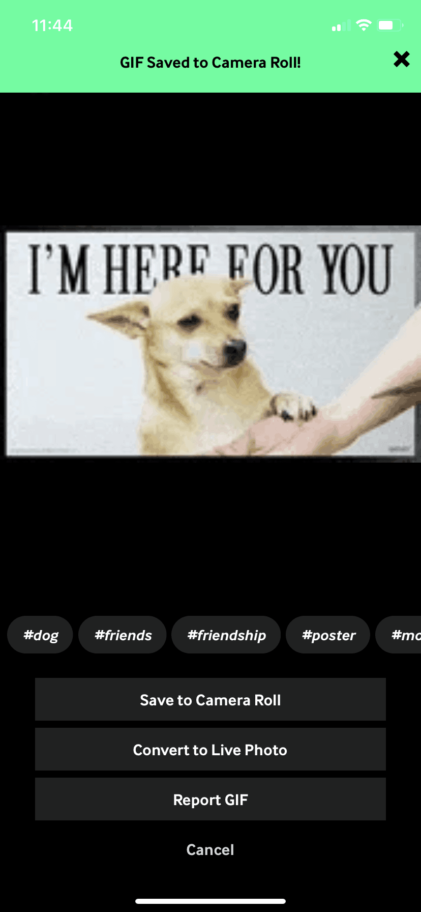 GIPHY iOS Photo & Video interface screenshot 21