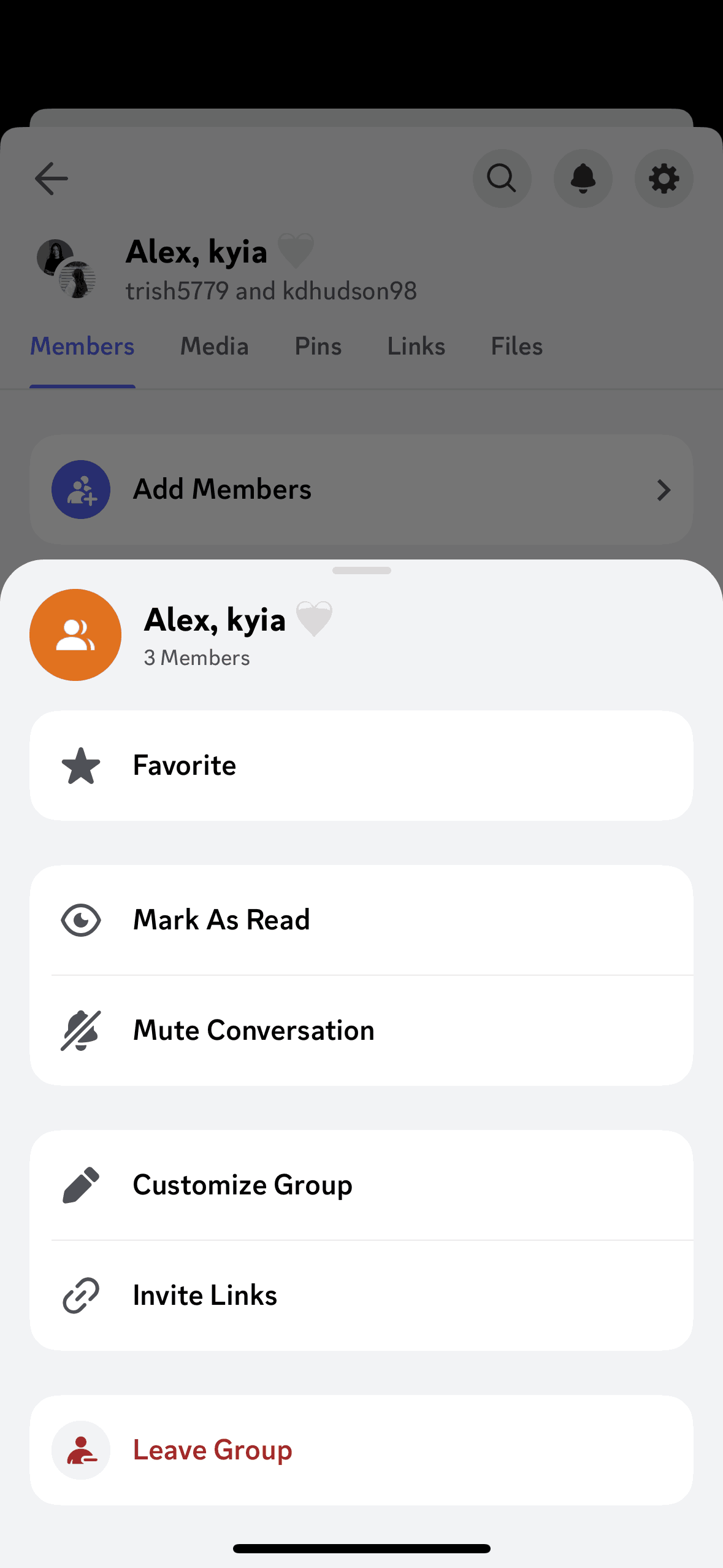 Adding a chat to favorites on Discord (ios) screen 2