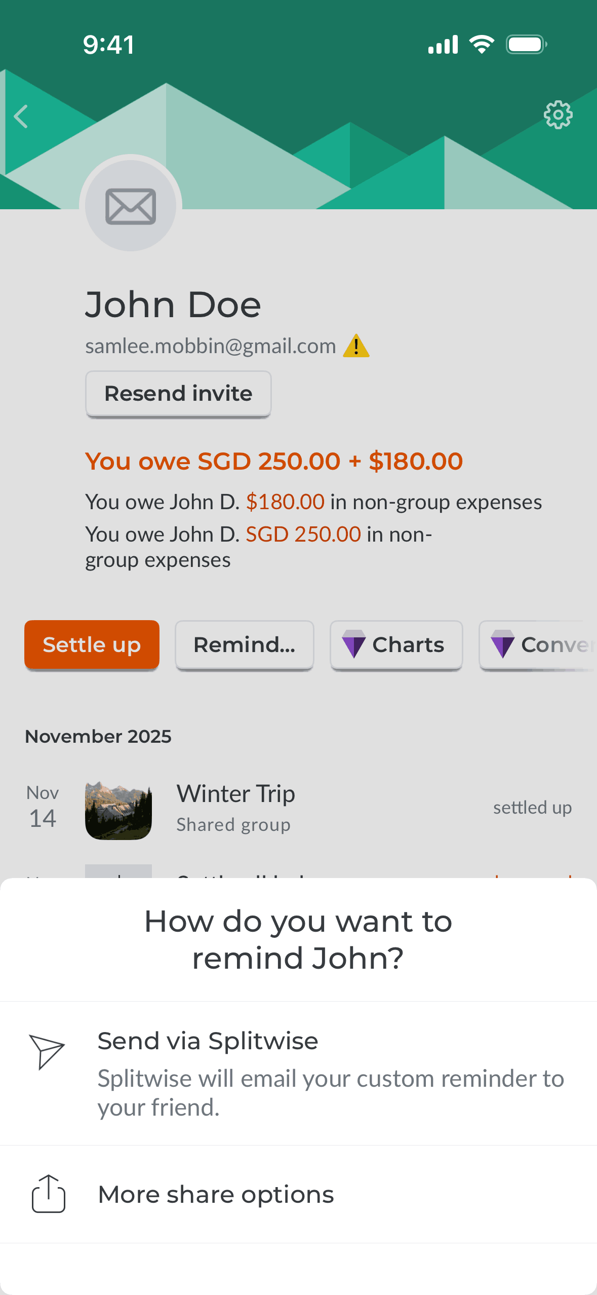 Splitwise iOS Finance interface screenshot 9