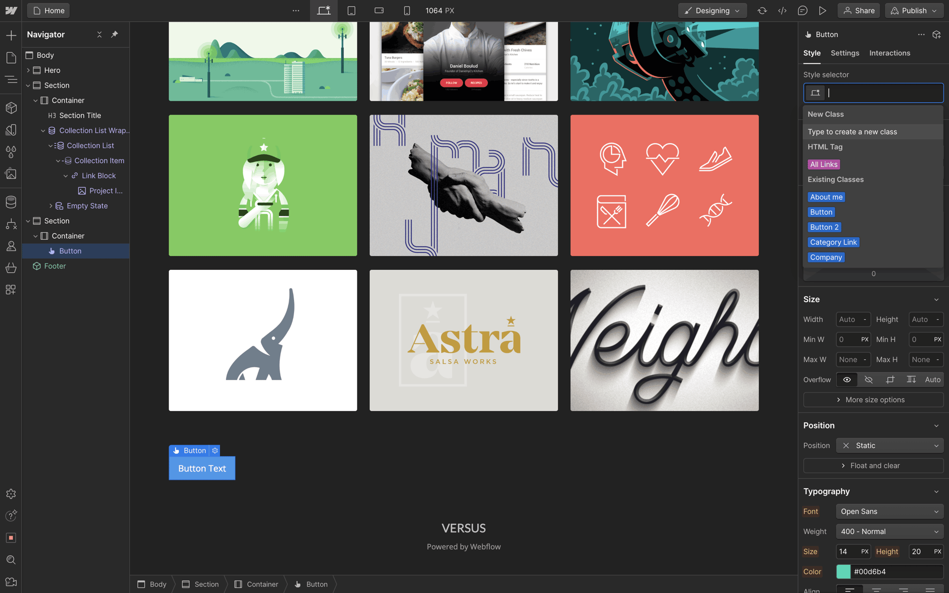Webflow Web Graphics & Design interface screenshot 3