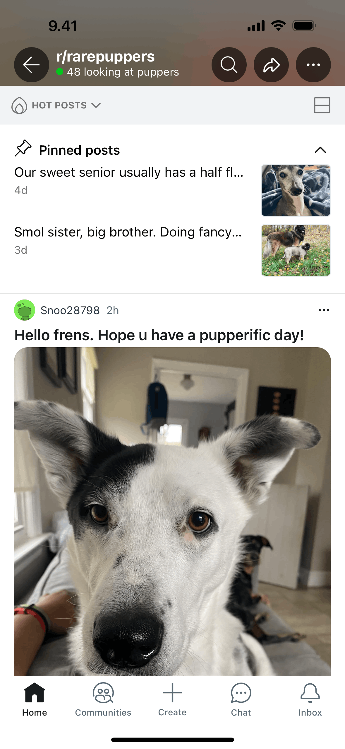 Reddit iOS Social Networking interface screenshot 2