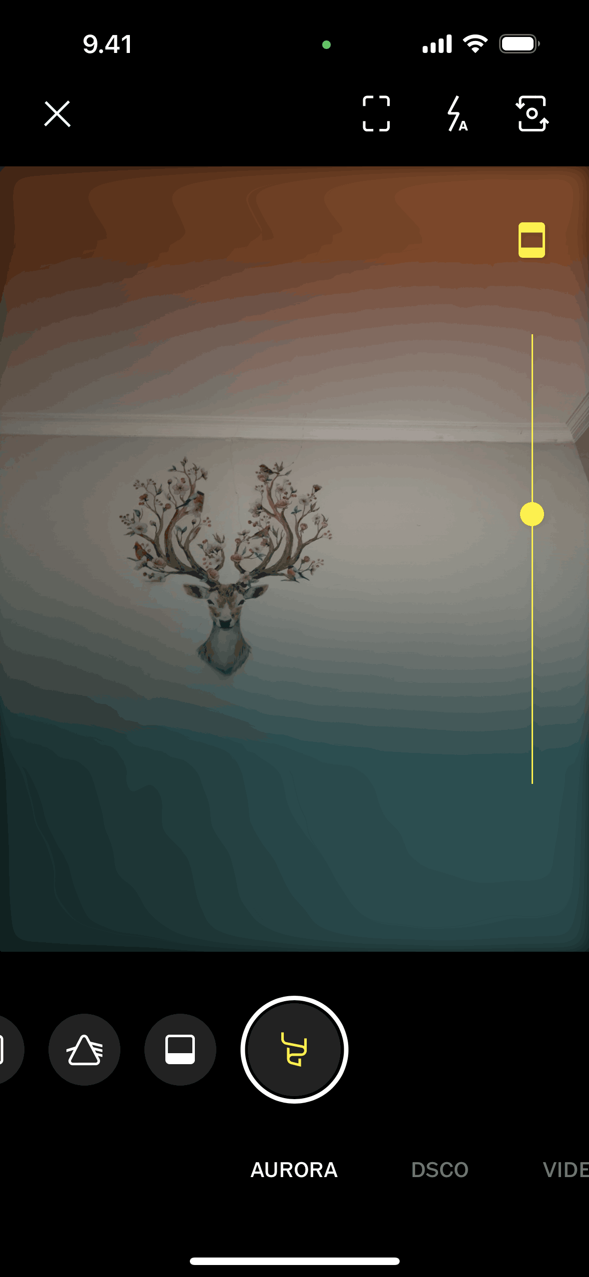VSCO iOS Photo & Video interface screenshot 14