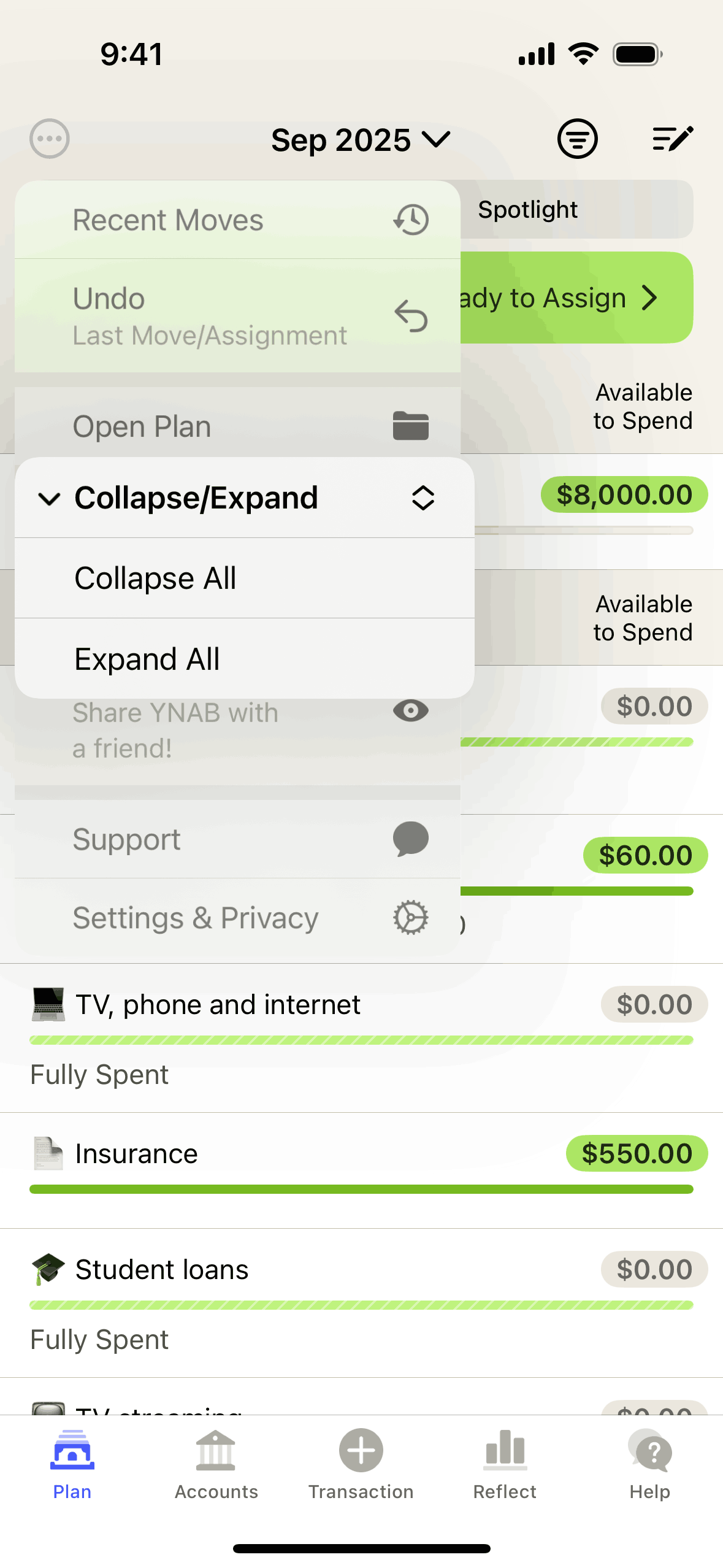YNAB iOS Finance interface screenshot 10