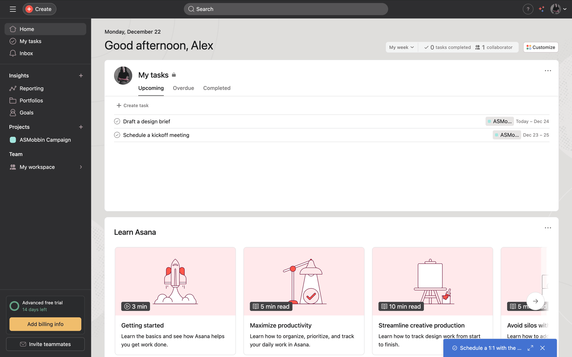 Asana Web Business interface screenshot 21