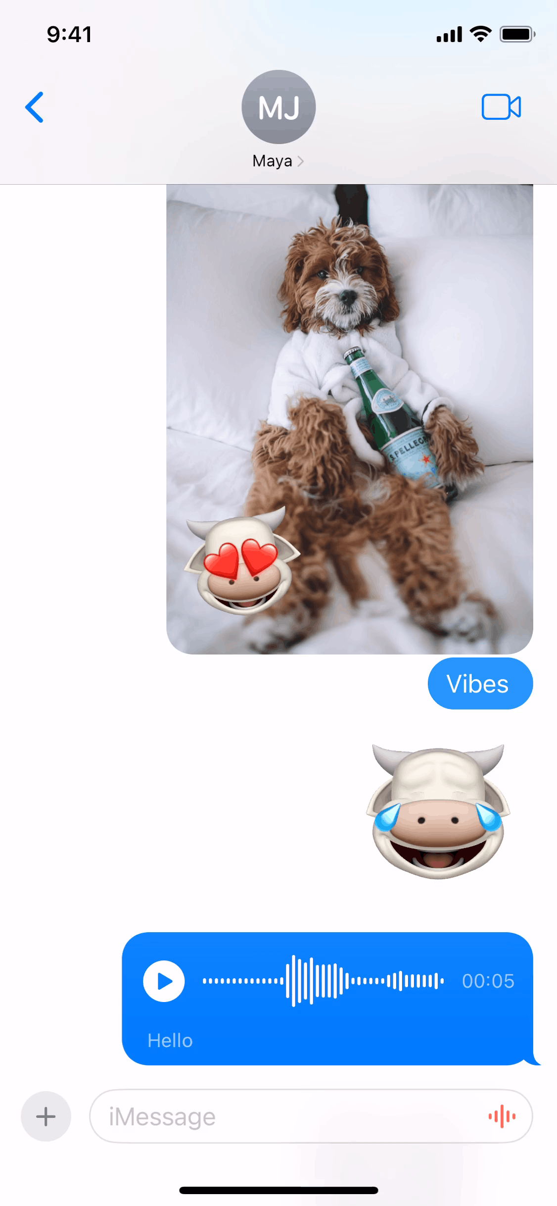 Messages iOS Social Networking interface screenshot 2