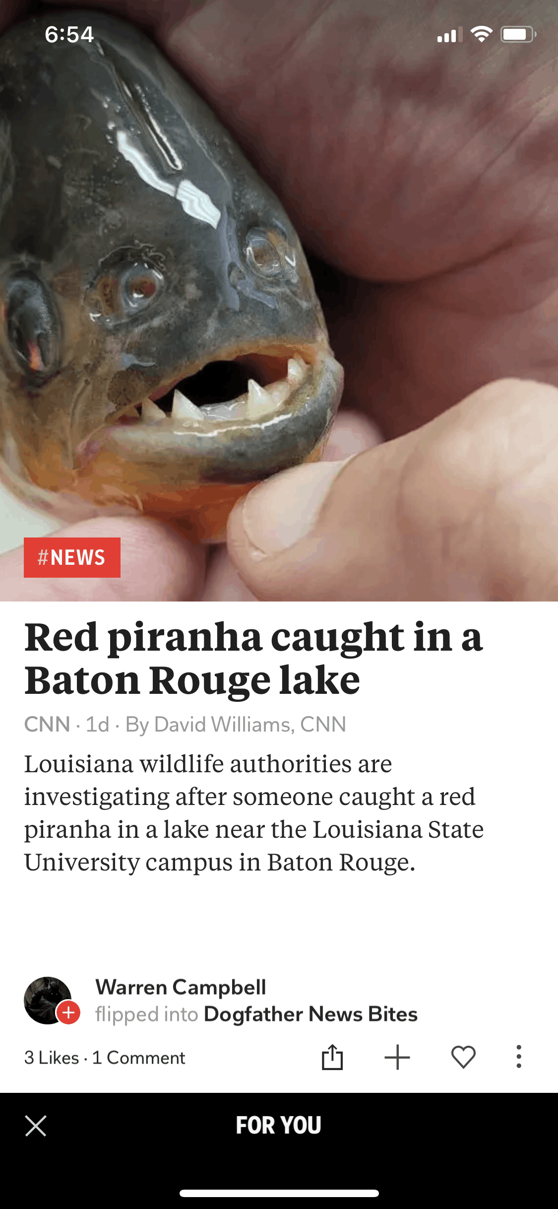 Flipboard iOS News interface screenshot 17
