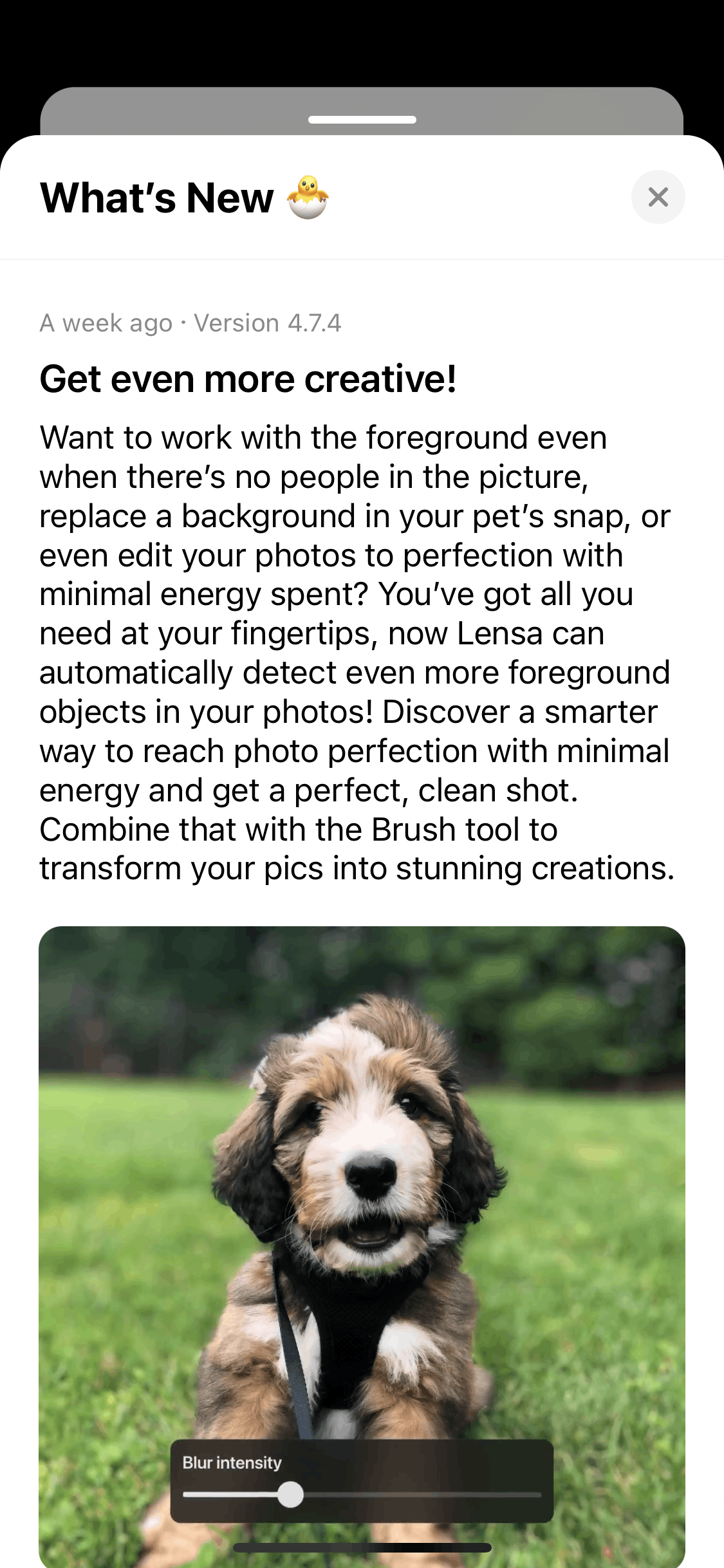 Lensa AI iOS Photo & Video interface screenshot 10