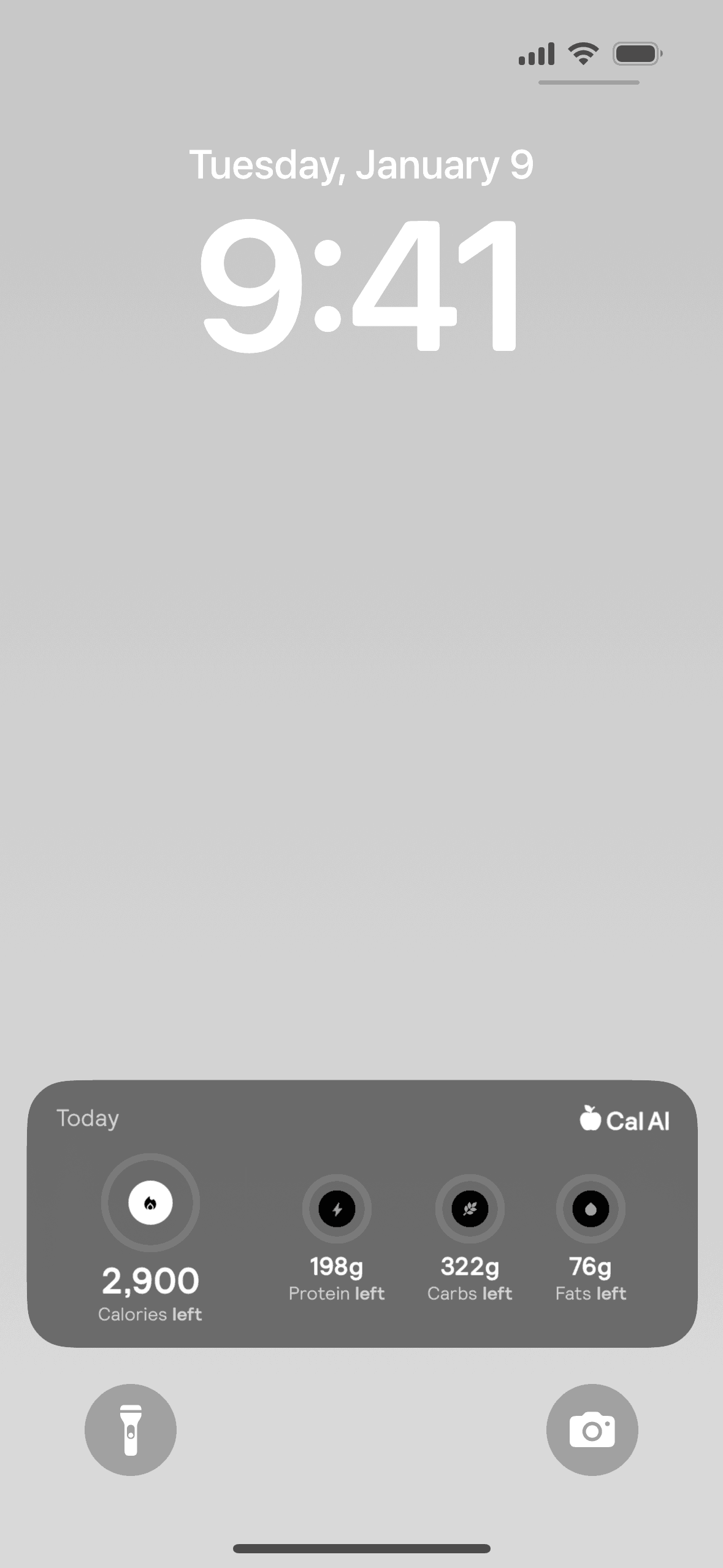 Cal AI iOS AI interface screenshot 2