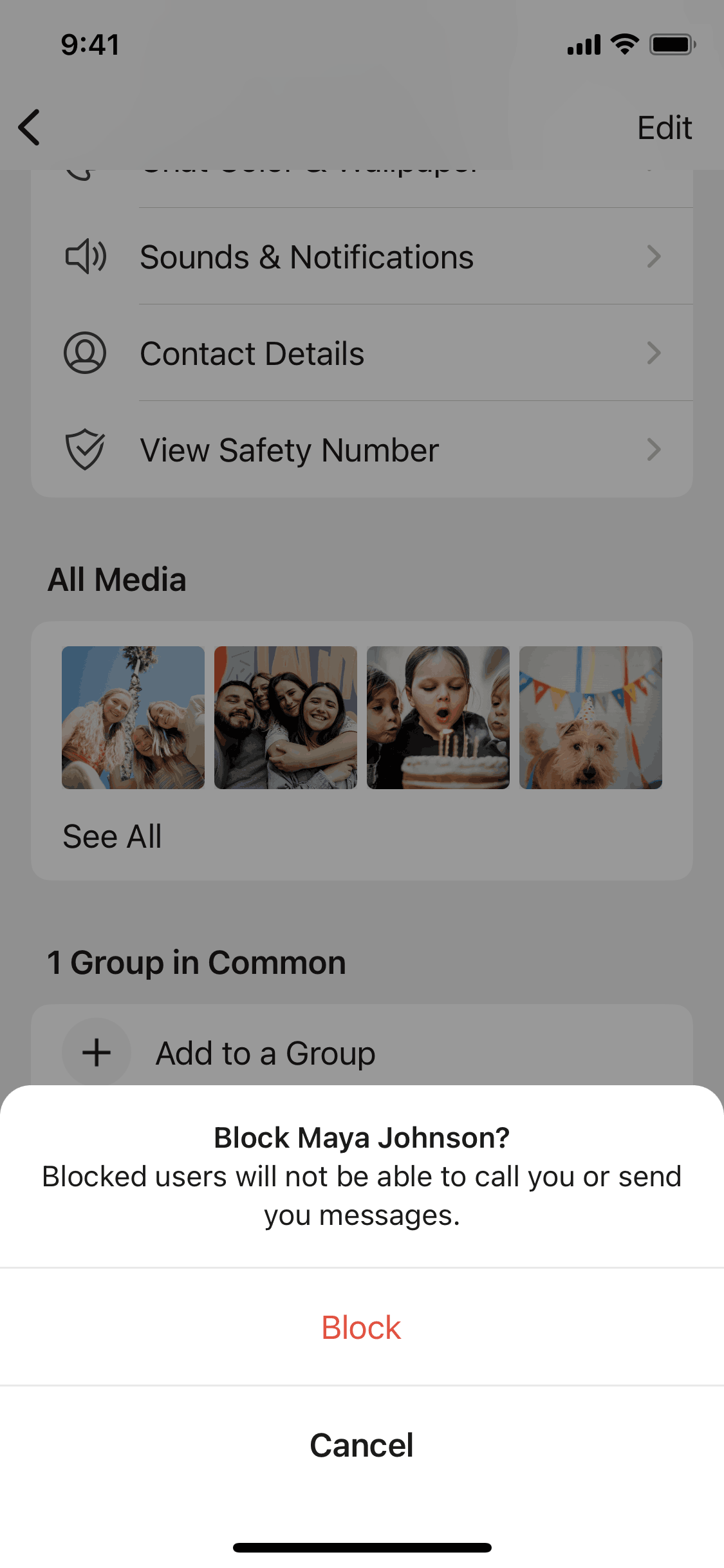 Signal iOS Social Networking interface screenshot 9