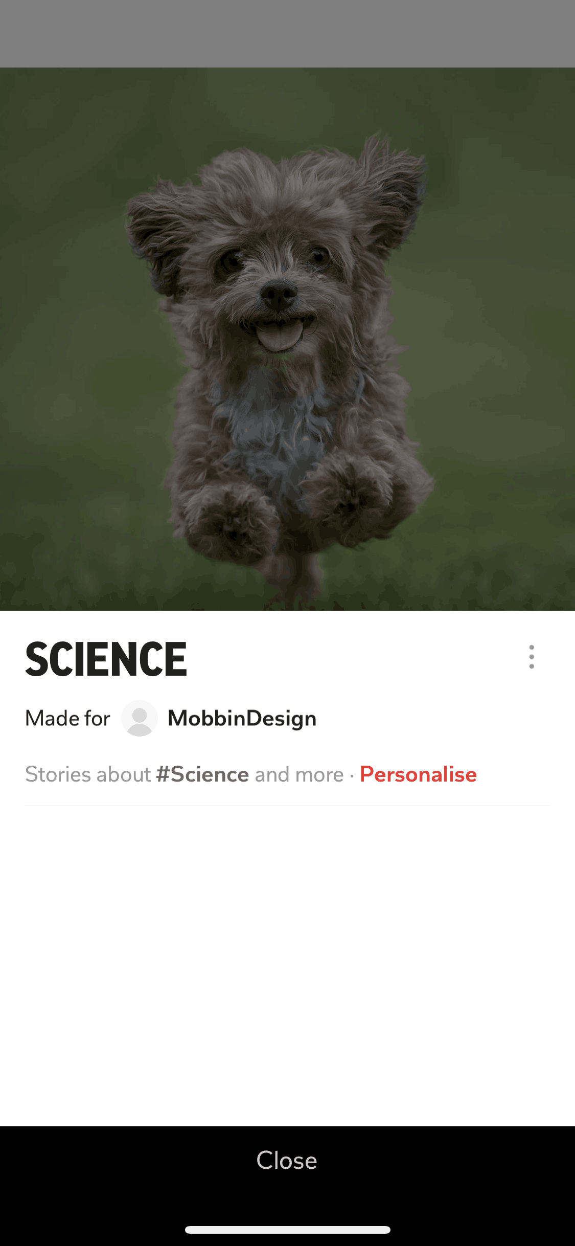 Flipboard iOS News interface screenshot 24