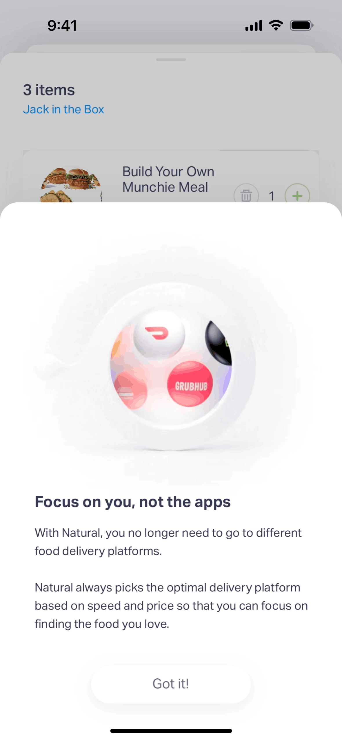 Natural AI iOS AI interface screenshot 13