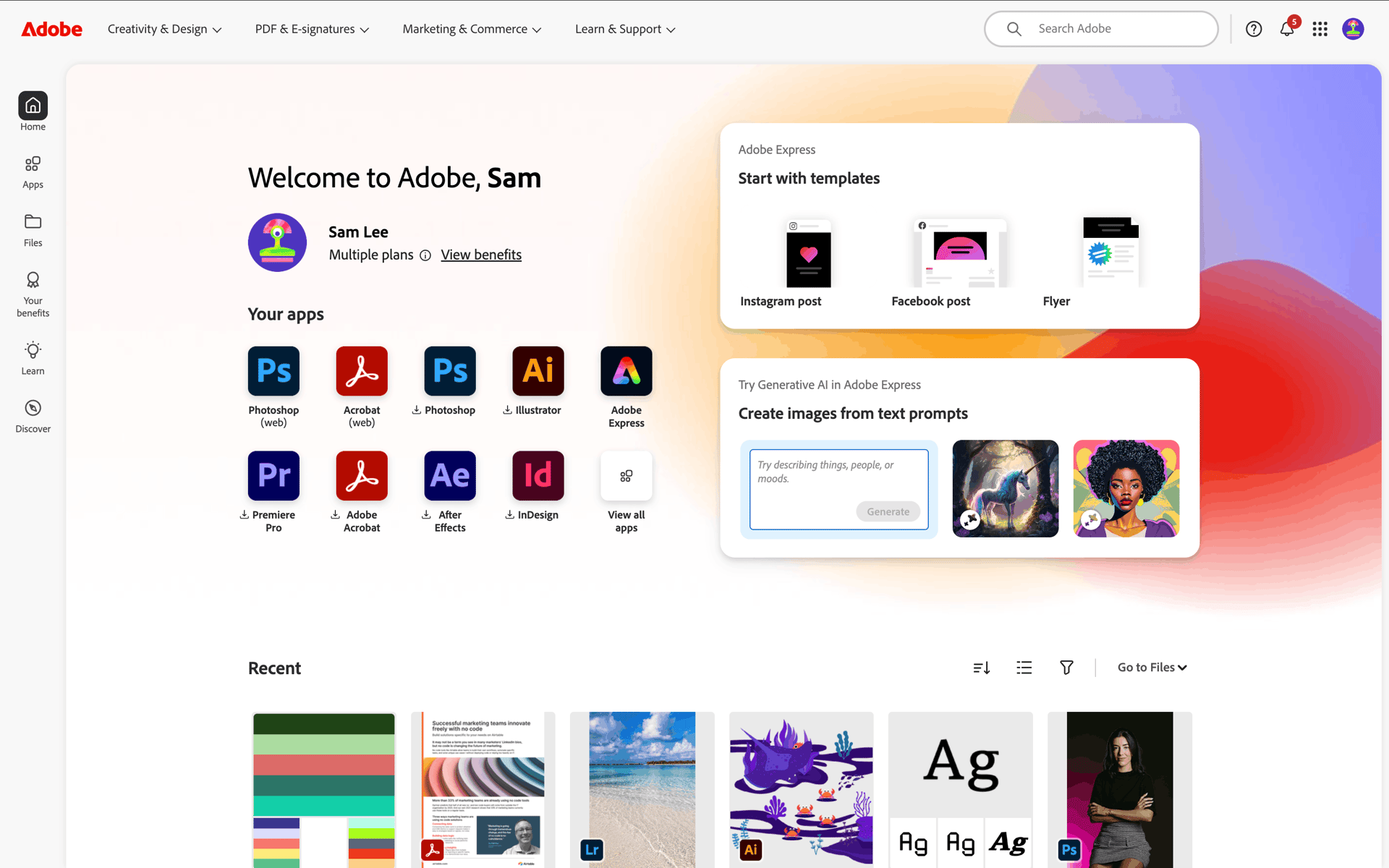 Adobe Web Business interface screenshot 2