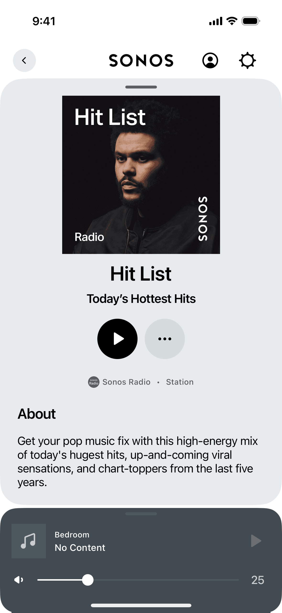 Playlist detail on Sonos (ios) screen 2
