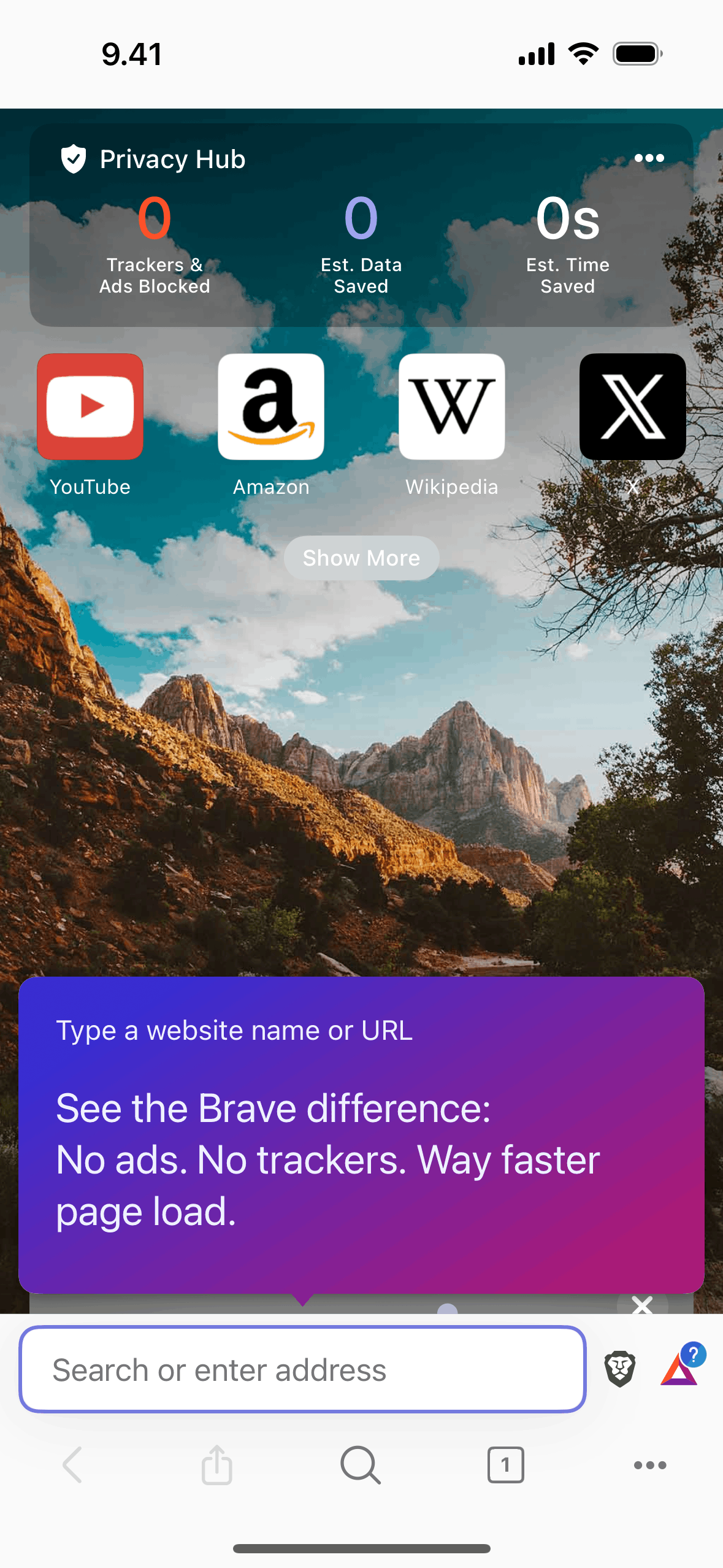 Brave Browser iOS Utilities interface screenshot 1
