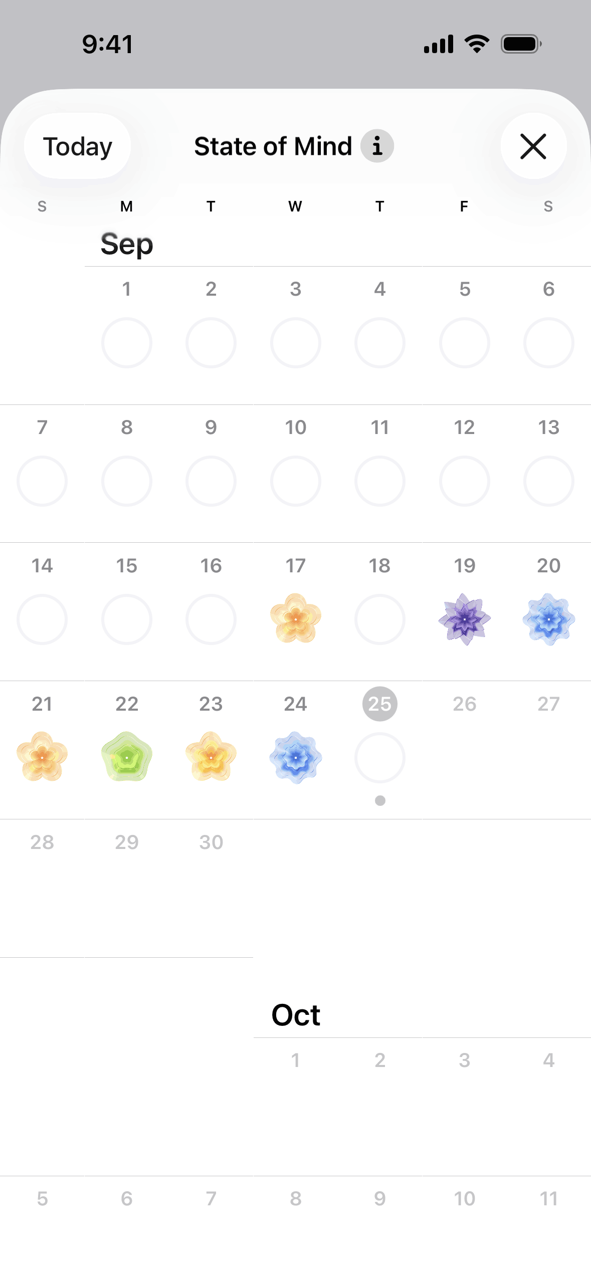 Apple Health iOS Health & Fitness interface screenshot 3
