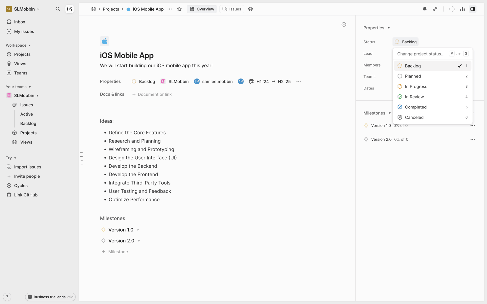Linear Web UI screenshot 23