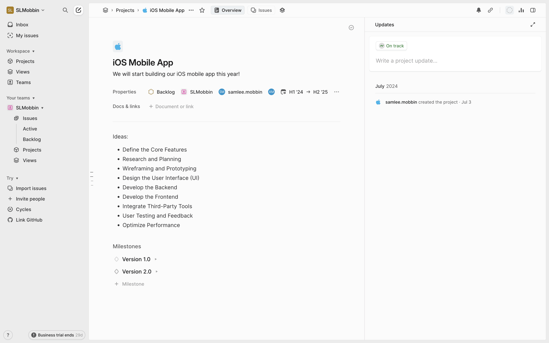Linear Web UI screenshot 9