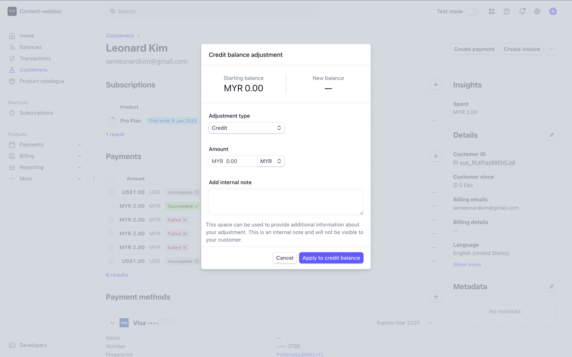 Stripe Web UI screenshot 19
