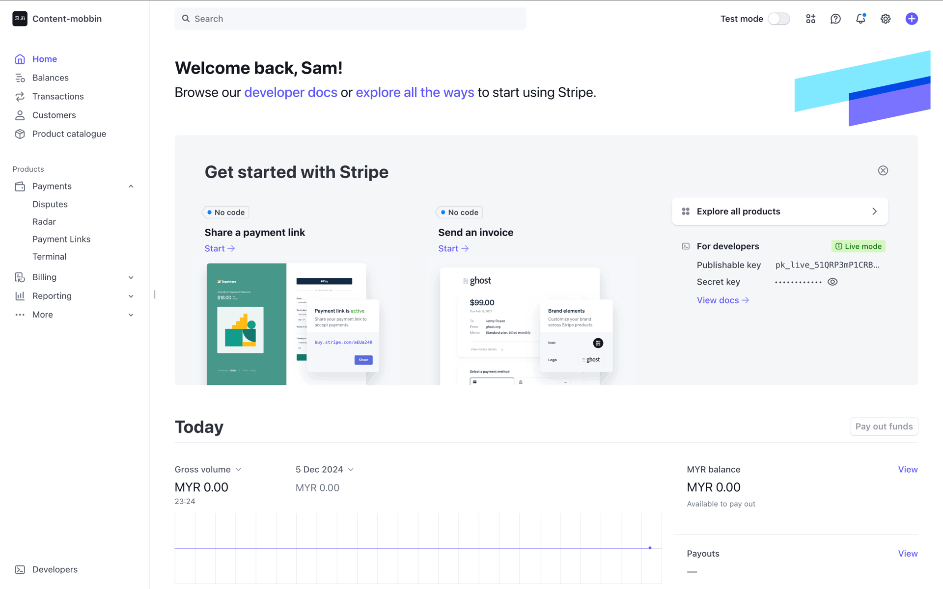 Stripe Web UI screenshot 3