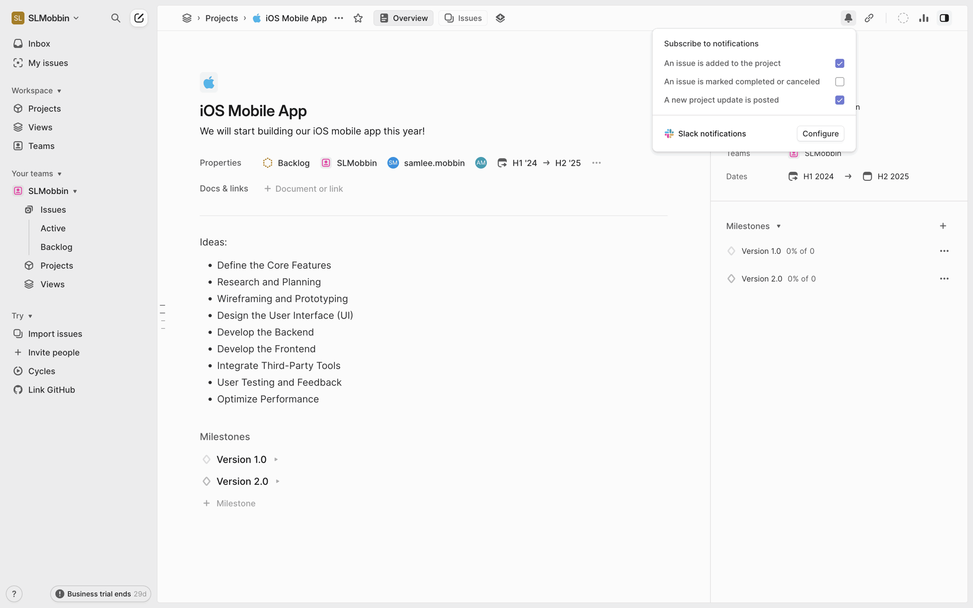 Linear Web UI screenshot 8