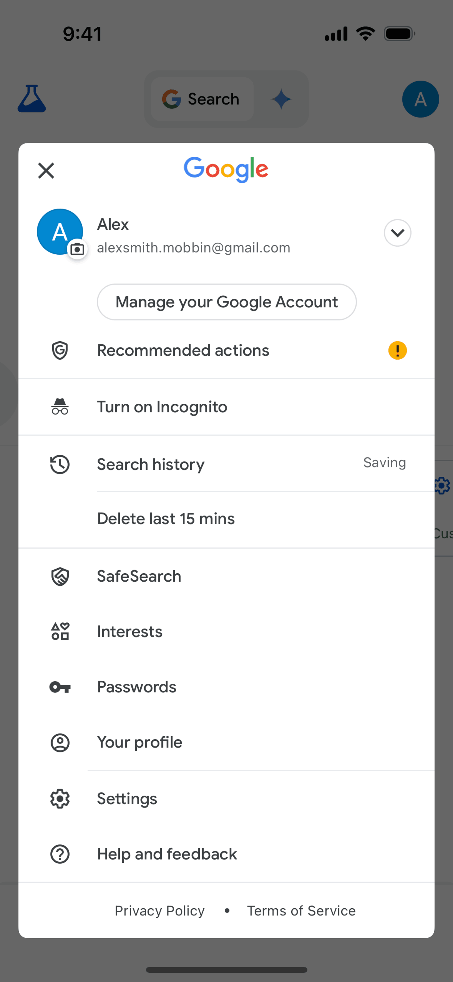 Google iOS UI screenshot 15